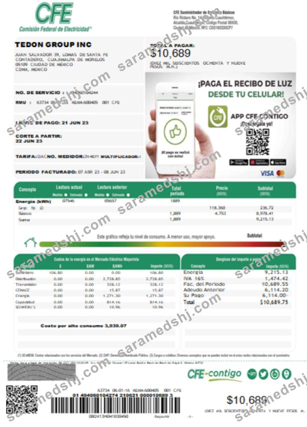 Federal Electricity Commission (CFE) utility bill SCR page 1